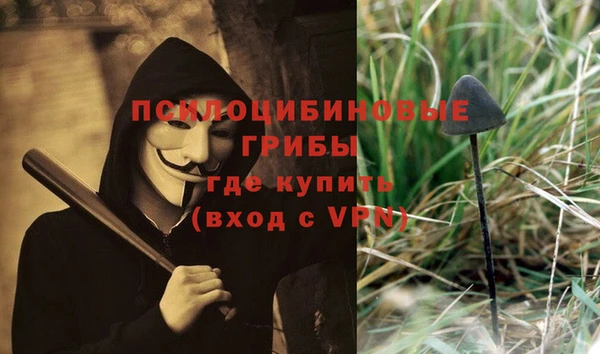 ГАЛЛЮЦИНОГЕННЫЕ ГРИБЫ Володарск